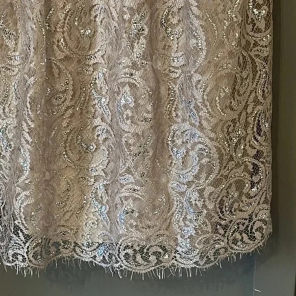 Jenny Yoo Collection Harlow Dress Champagne Metallic Lace Cocktail Bridesmaid - Picture 7 of 12